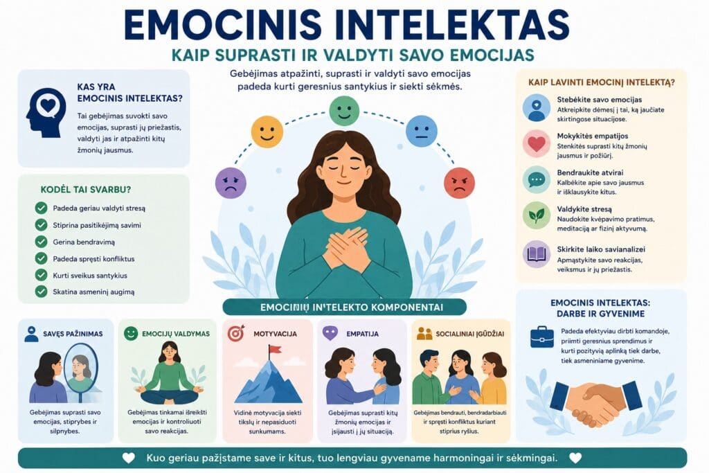 Emocinis intelektas pagrindiniai principai